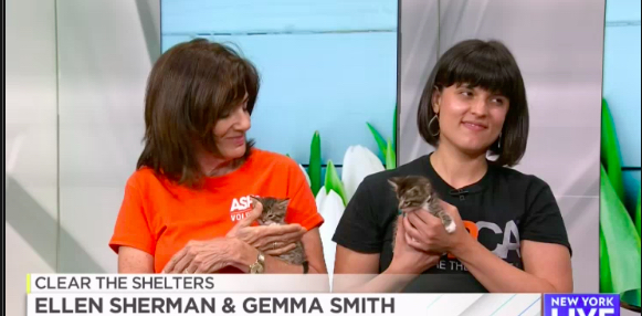 Screen Shot 2018-10-17 at 1.34.02 PM copy